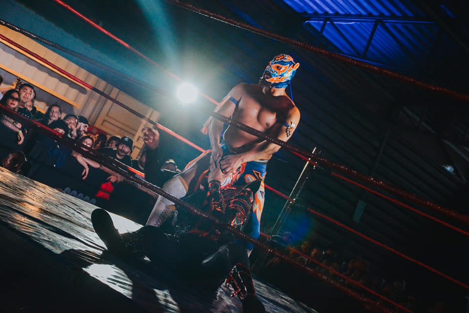 Los rudos y los técnicos presentes en una última lucha para despedir el Wild O' Fest 2024 / Foto: Andre Dulché