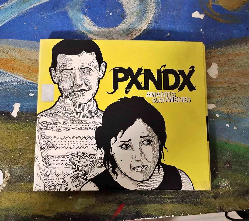 amantes sunt amentes, disco de pxndx panda