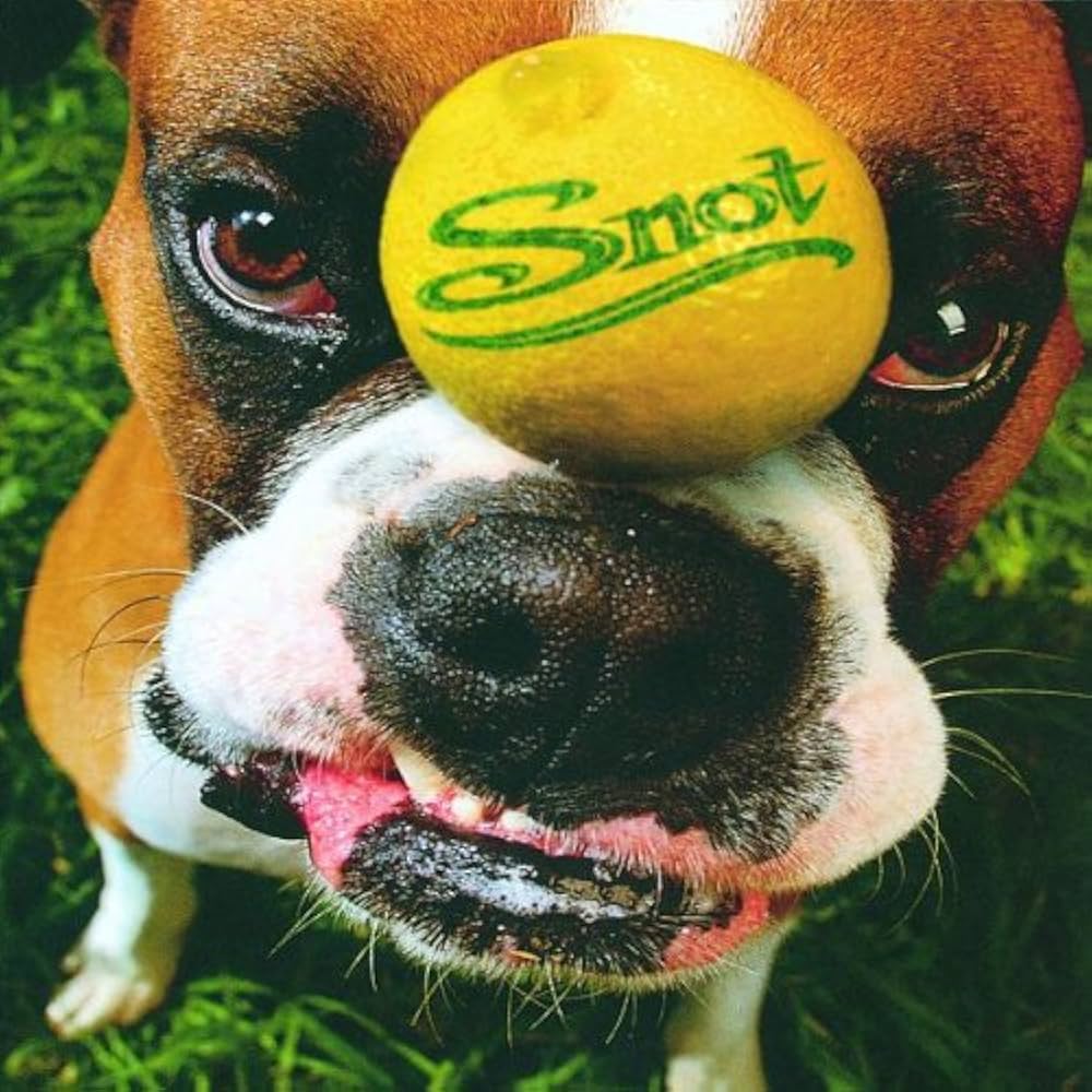 Get Some, el disco ícono de Snot con Dobbs como perrito modelo 