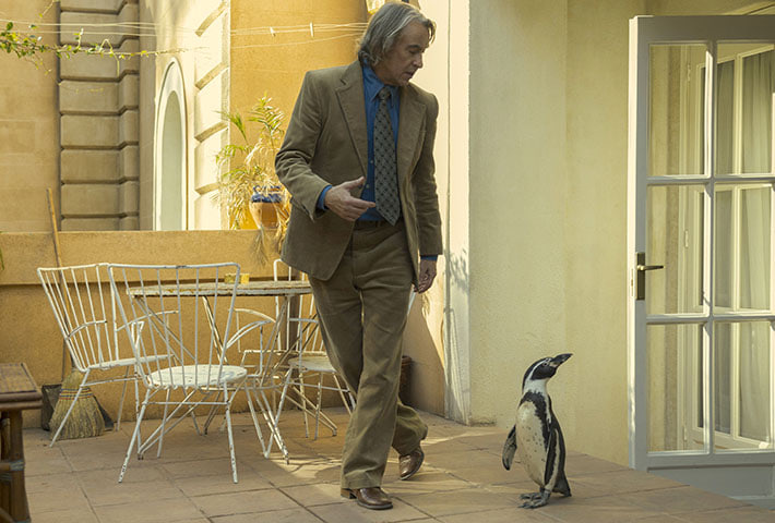 Crítica: Lecciones de un pingüino, película de drama y comedia