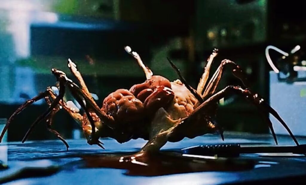 Los insectos, la degeneración física y el horror corporal se funden en Muertamorfosis.