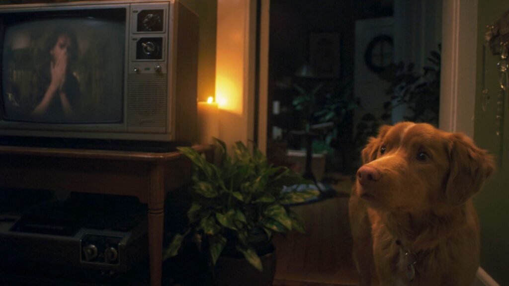 indy viendo a todd