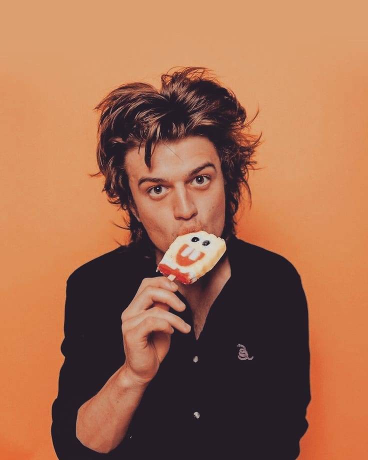 Joe Keery: del final de Stranger Things al escenario, el presente de DJO