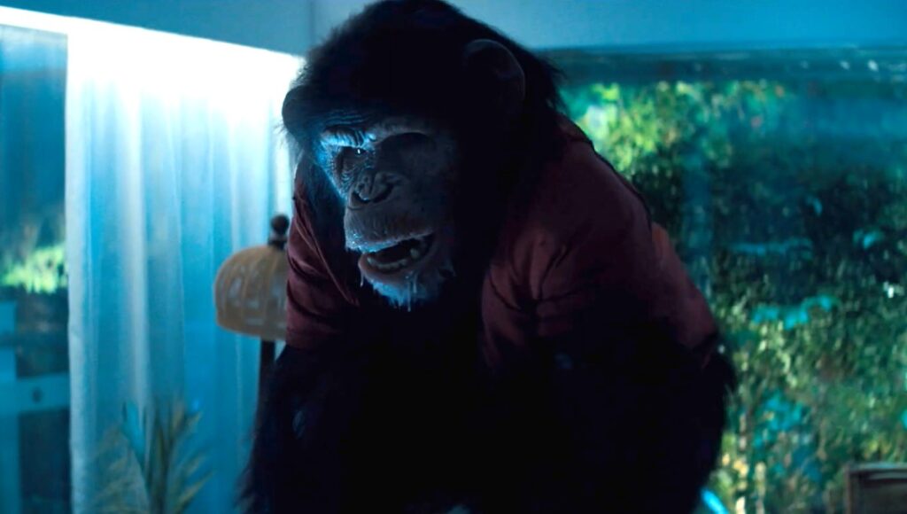 Reseña de Primate