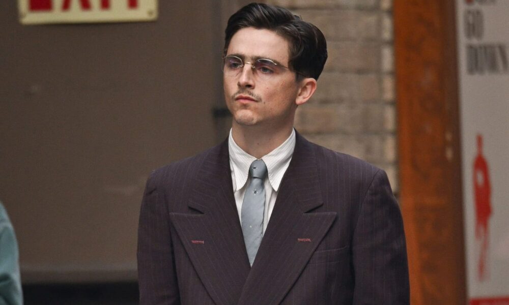 Timothée Chalamet es Marty Mauser