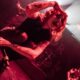 Ankor en el Circo Volador | Por: Germán García para Dilemma Entertainment