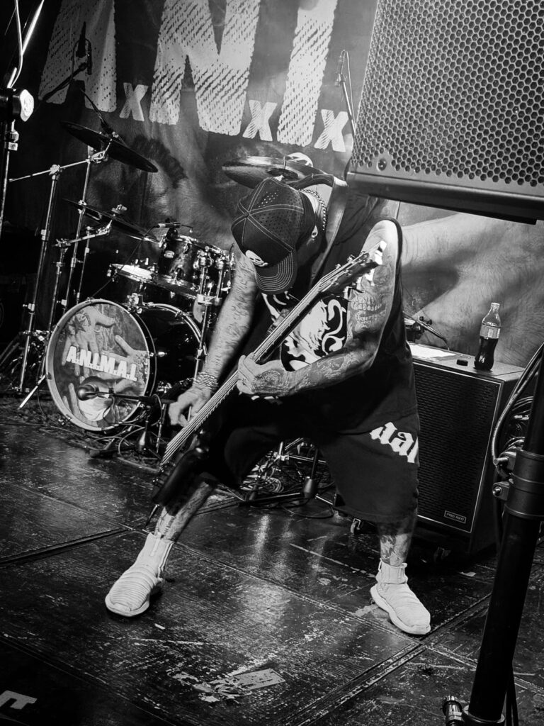 A.N.I.M.A.L. en el Fuck Off Room / Foto: Carlos Miranda